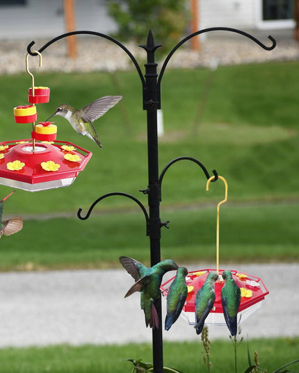 Torocky Sweety Hummingbird Feeder