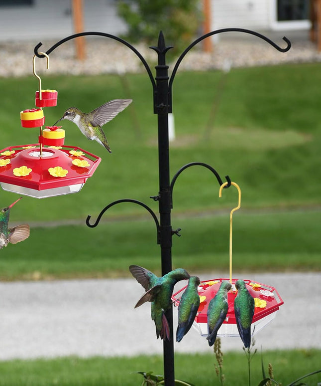 Torocky Sweety Hummingbird Feeder
