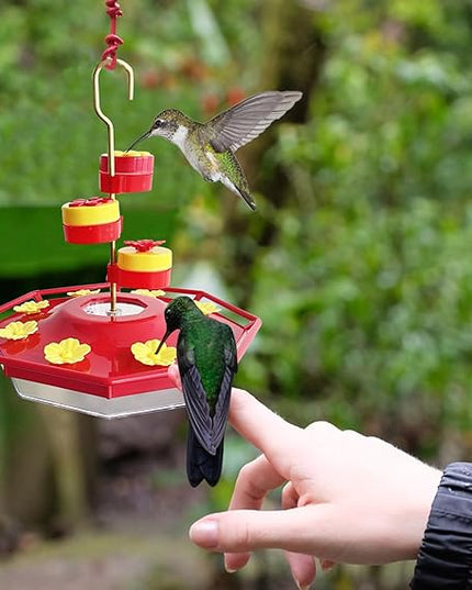 Torocky Sweety Hummingbird Feeder